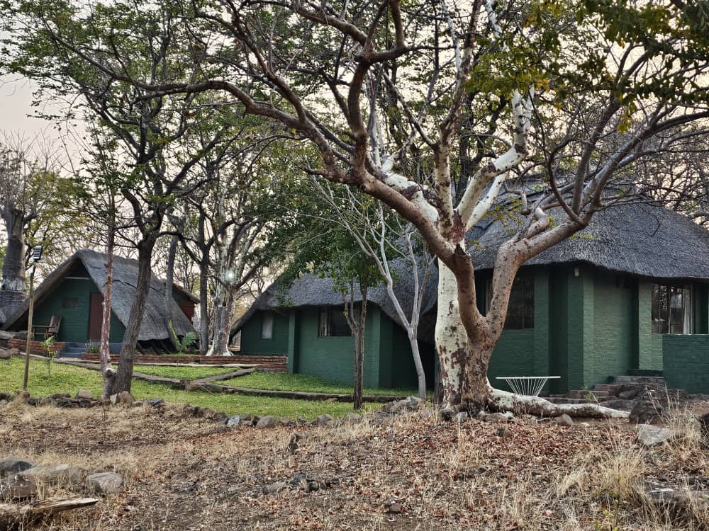 Leopard Hunting in Namibia & Brown Hyena Cancelation Hunt