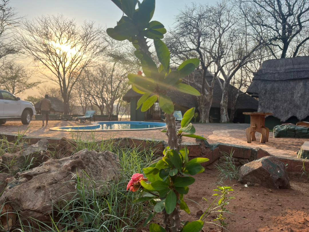 Leopard Hunting in Namibia & Brown Hyena Cancelation Hunt