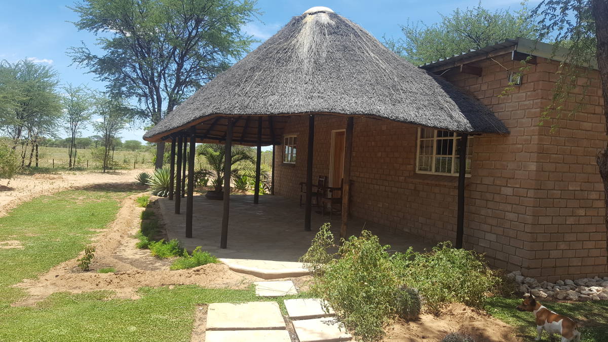 Leopard Hunting in Namibia & Brown Hyena Cancelation Hunt