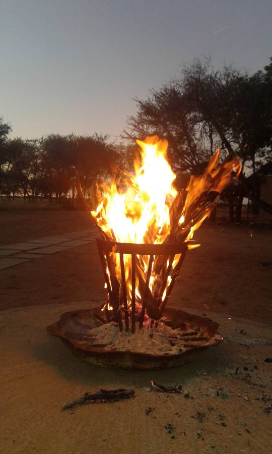 Leopard Hunting in Namibia & Brown Hyena Cancelation Hunt