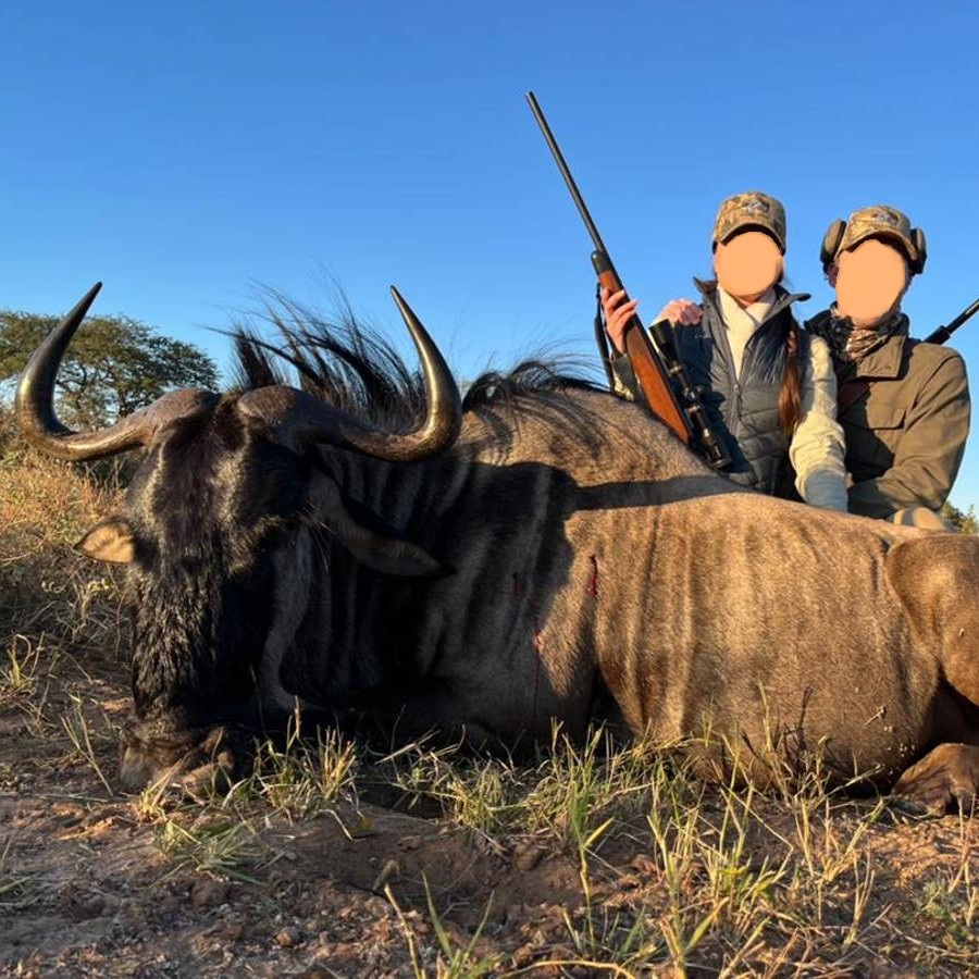 Leopard Hunting in Namibia & Brown Hyena Cancelation Hunt