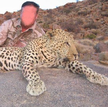 Leopard Hunting in Namibia & Brown Hyena Cancelation Hunt
