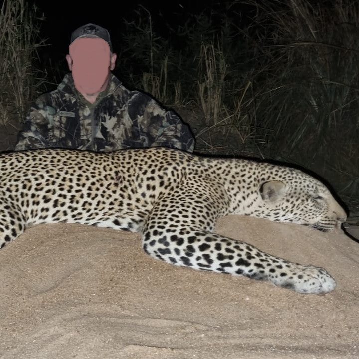 Leopard Hunting in Namibia & Brown Hyena Cancelation Hunt