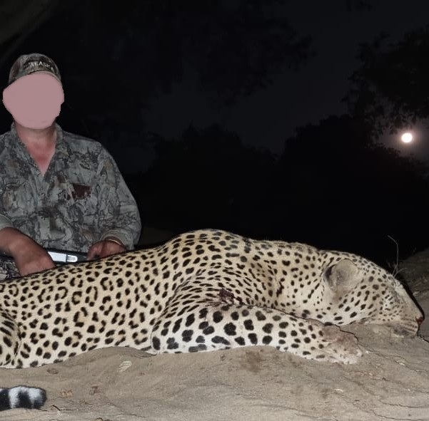 Leopard Hunting in Namibia & Brown Hyena Cancelation Hunt