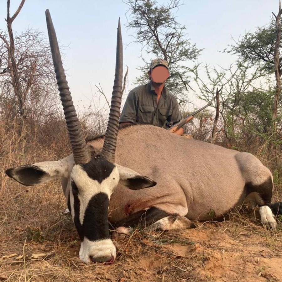 Leopard Hunting in Namibia & Brown Hyena Cancelation Hunt