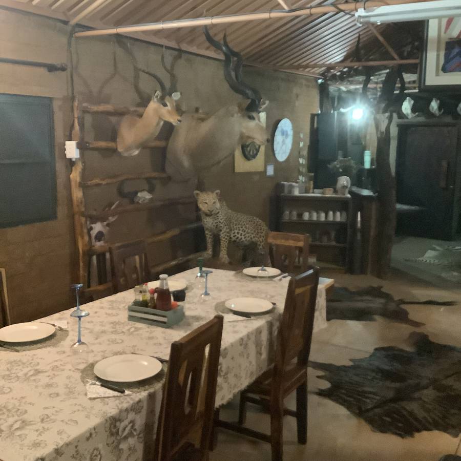 Leopard Hunting in Namibia & Brown Hyena Cancelation Hunt