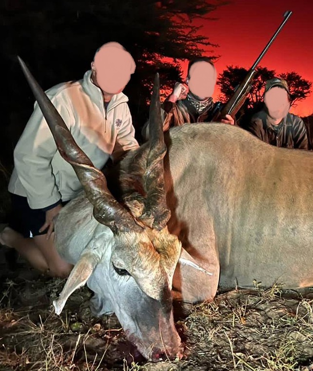 Leopard Hunting in Namibia & Brown Hyena Cancelation Hunt