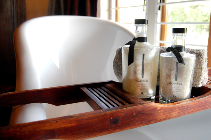 Leopard Hunting in Namibia & Brown Hyena Cancelation Hunt