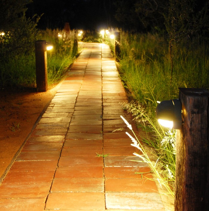 Leopard Hunting in Namibia & Brown Hyena Cancelation Hunt