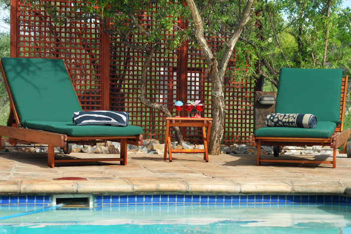 Leopard Hunting in Namibia & Brown Hyena Cancelation Hunt