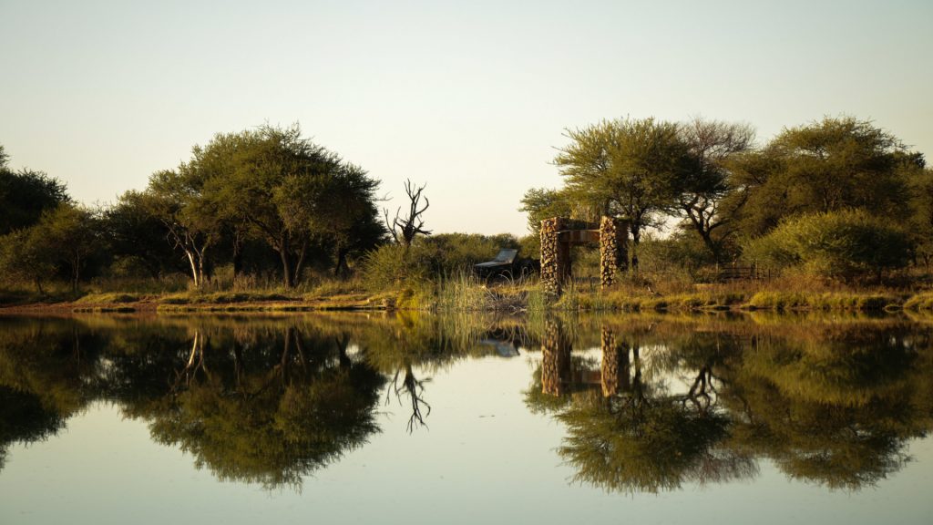 Leopard Hunting in Namibia & Brown Hyena Cancelation Hunt