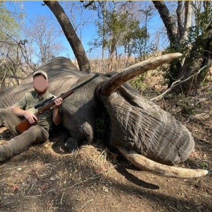 Leopard Hunting in Namibia & Brown Hyena Cancelation Hunt