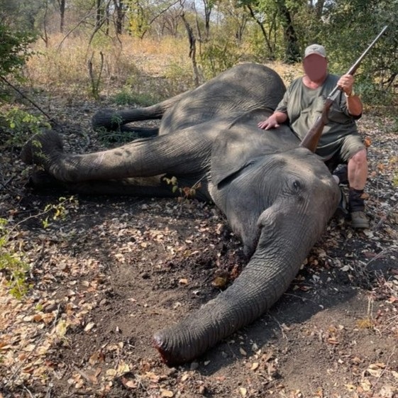 Leopard Hunting in Namibia & Brown Hyena Cancelation Hunt