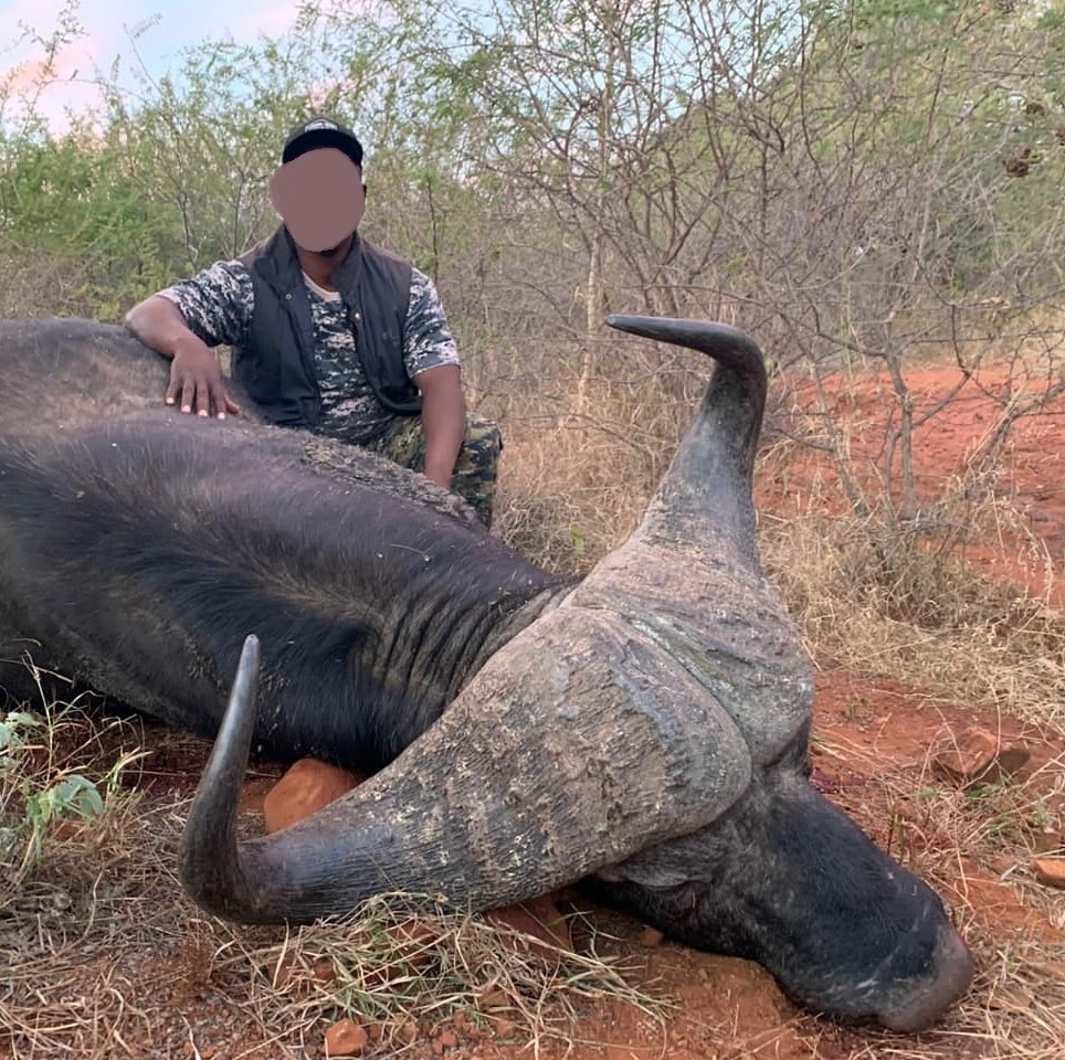 Hunt Buffalo, Sable, Blesbok, Impala & Warthog in South Africa