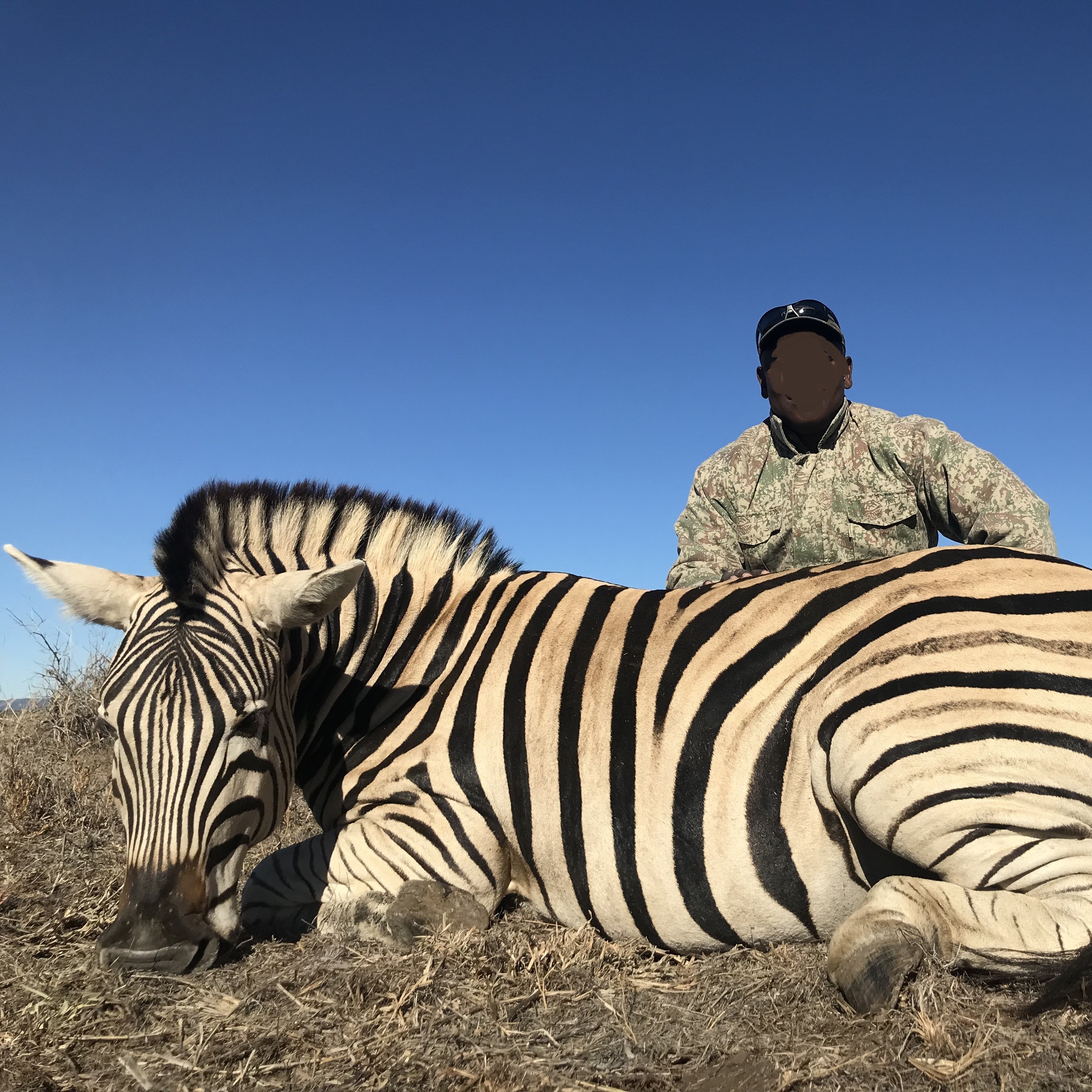 Leopard Hunting in Namibia & Brown Hyena Cancelation Hunt