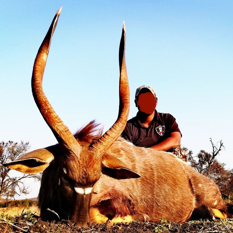 Leopard Hunting in Namibia & Brown Hyena Cancelation Hunt