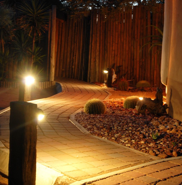 Leopard Hunting in Namibia & Brown Hyena Cancelation Hunt