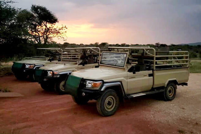 Leopard Hunting in Namibia & Brown Hyena Cancelation Hunt