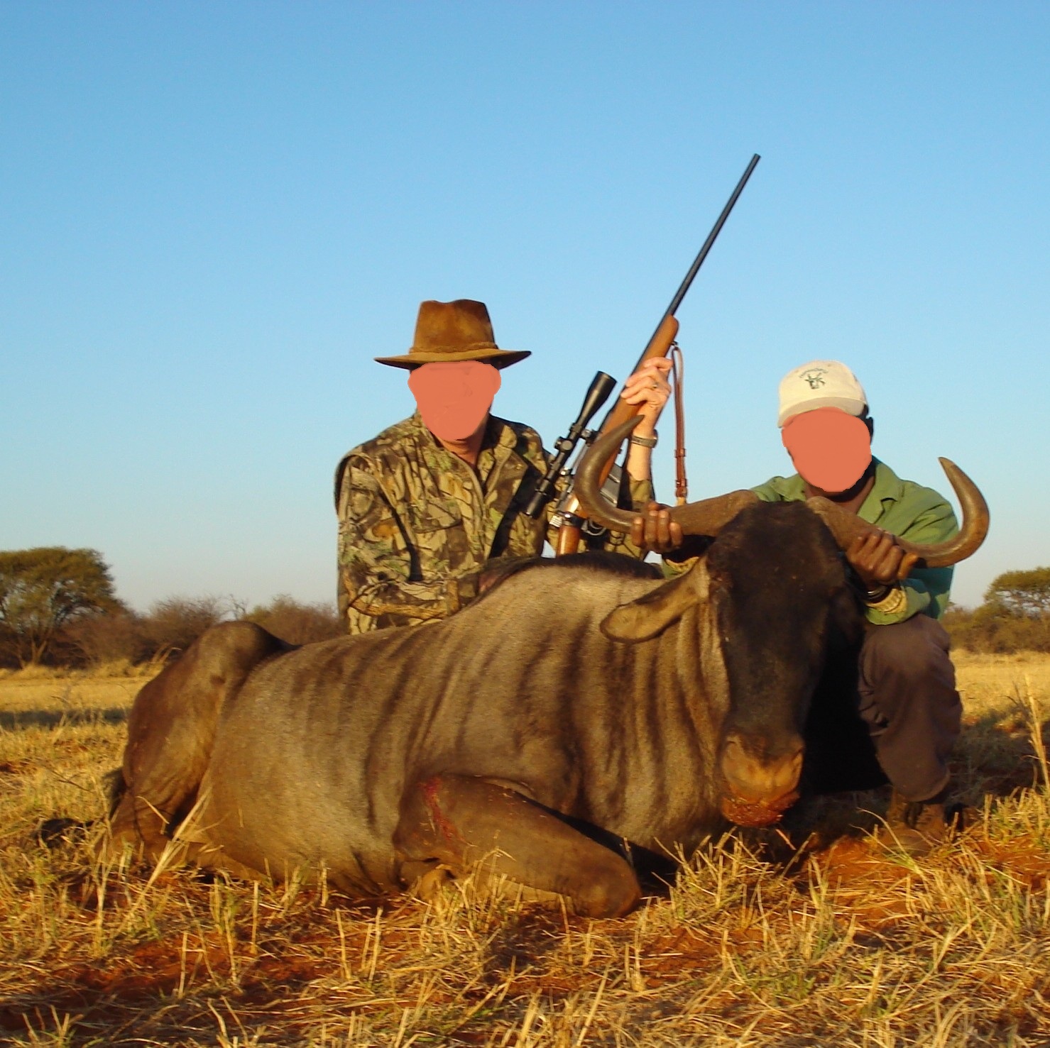 Leopard Hunting in Namibia & Brown Hyena Cancelation Hunt