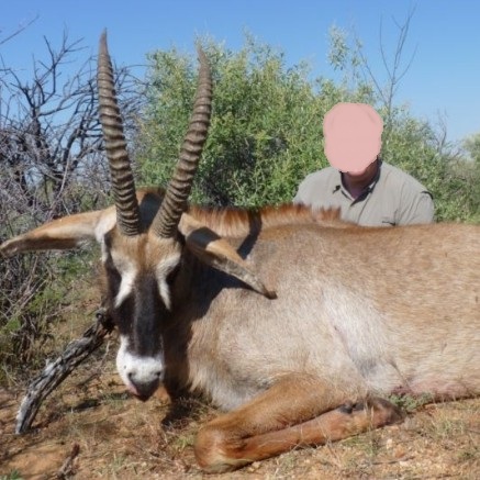 Leopard Hunting in Namibia & Brown Hyena Cancelation Hunt