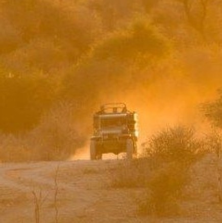 Leopard Hunting in Namibia & Brown Hyena Cancelation Hunt