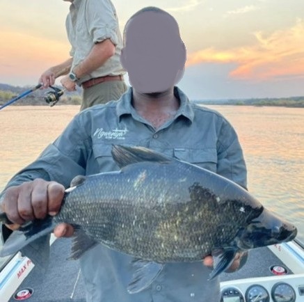 Leopard Hunting in Namibia & Brown Hyena Cancelation Hunt