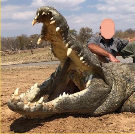 Leopard Hunting in Namibia & Brown Hyena Cancelation Hunt