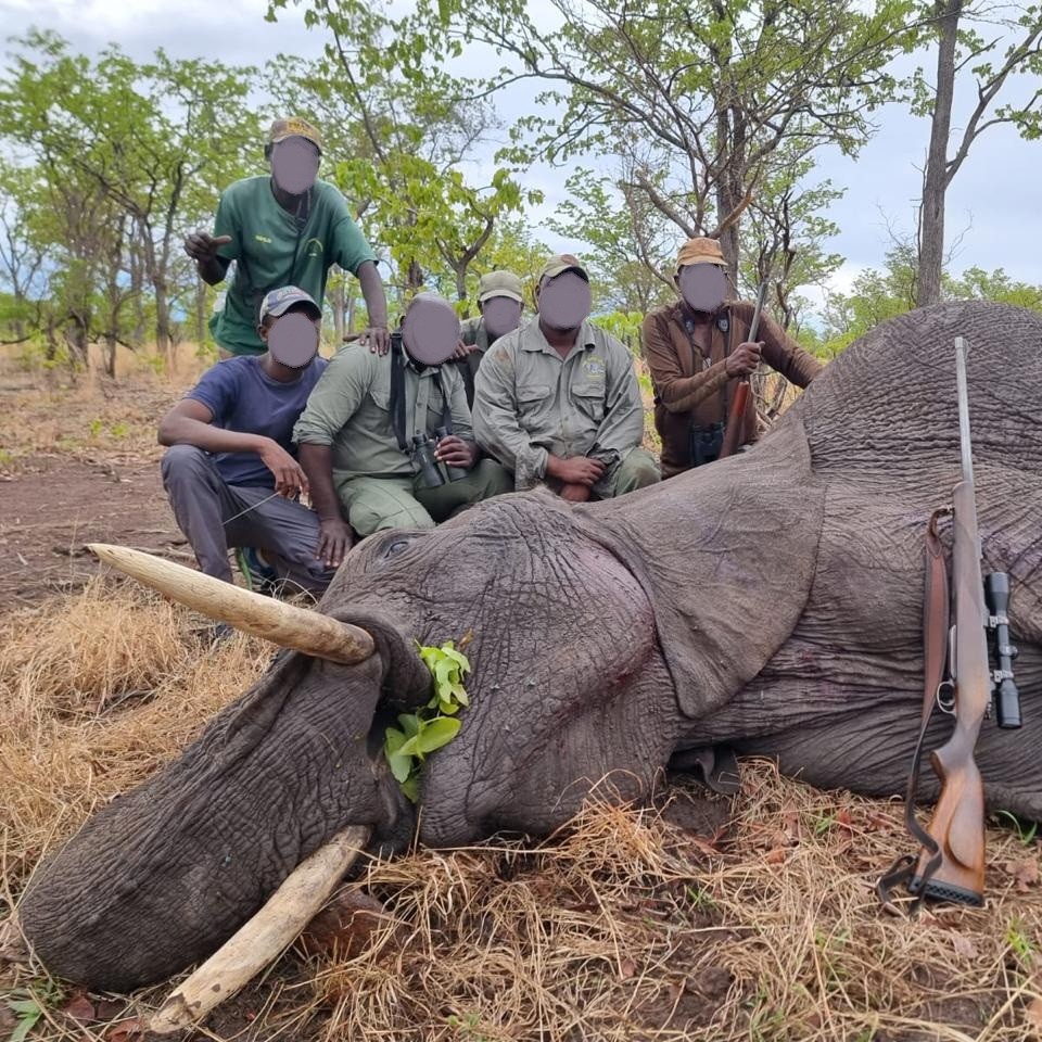 Leopard Hunting in Namibia & Brown Hyena Cancelation Hunt