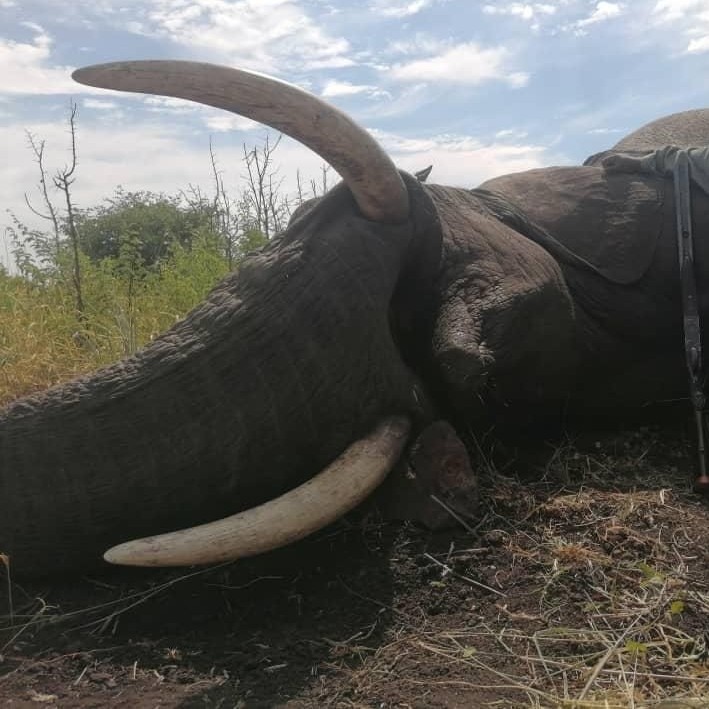 Leopard Hunting in Namibia & Brown Hyena Cancelation Hunt