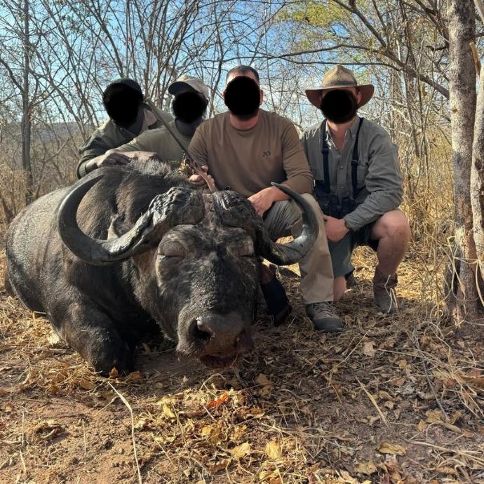 Leopard Hunting in Namibia & Brown Hyena Cancelation Hunt