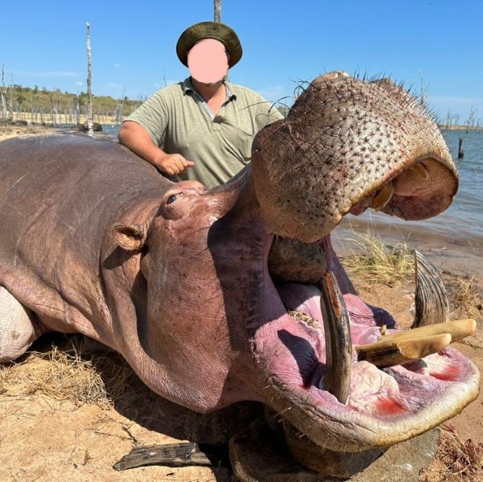 Hunt Monster Hippo & Croc in Zimbabwe’s Lake Kariba