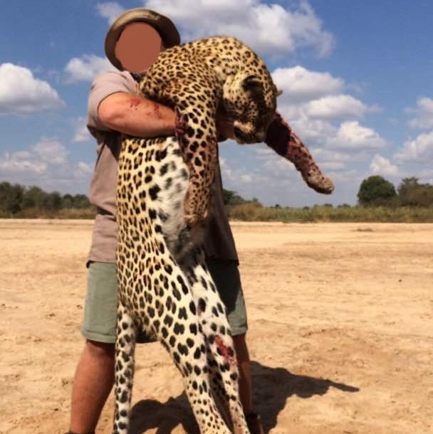 Leopard Hunting in Namibia & Brown Hyena Cancelation Hunt