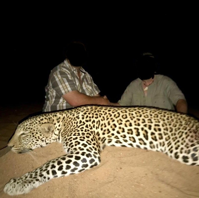 Leopard Hunting in Namibia & Brown Hyena Cancelation Hunt