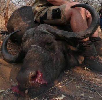 Leopard Hunting in Namibia & Brown Hyena Cancelation Hunt