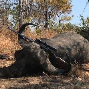 Leopard Hunting in Namibia & Brown Hyena Cancelation Hunt