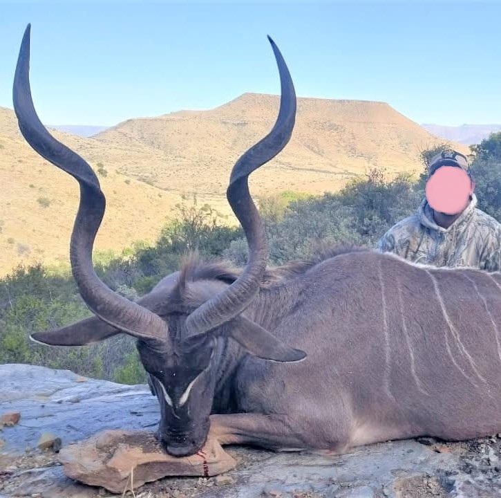 Hunt Kudu, Blesbok, Impala & Springbok in the picturesque Eastern Cape