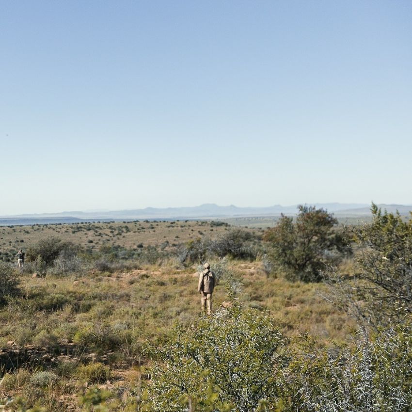 Leopard Hunting in Namibia & Brown Hyena Cancelation Hunt
