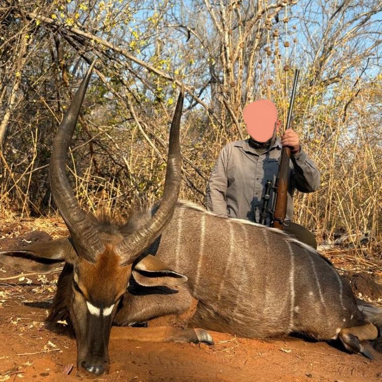 Leopard Hunting in Namibia & Brown Hyena Cancelation Hunt