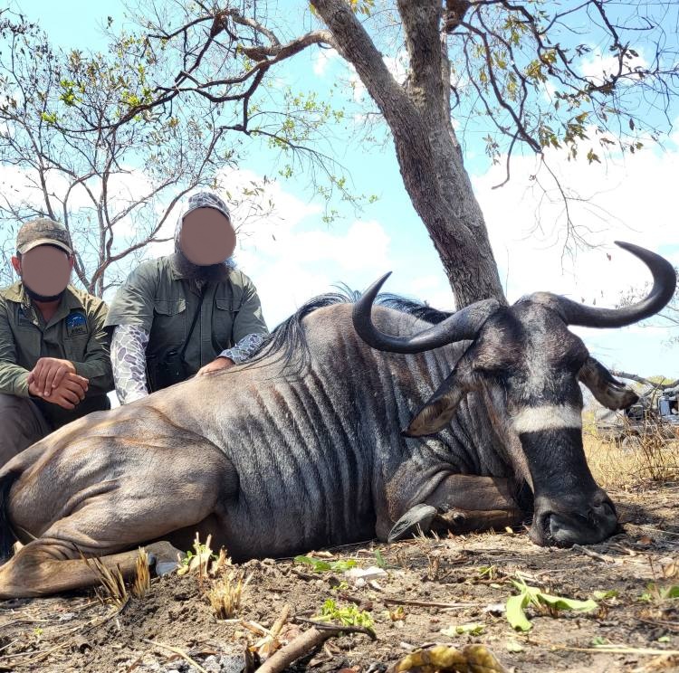 Leopard Hunting in Namibia & Brown Hyena Cancelation Hunt