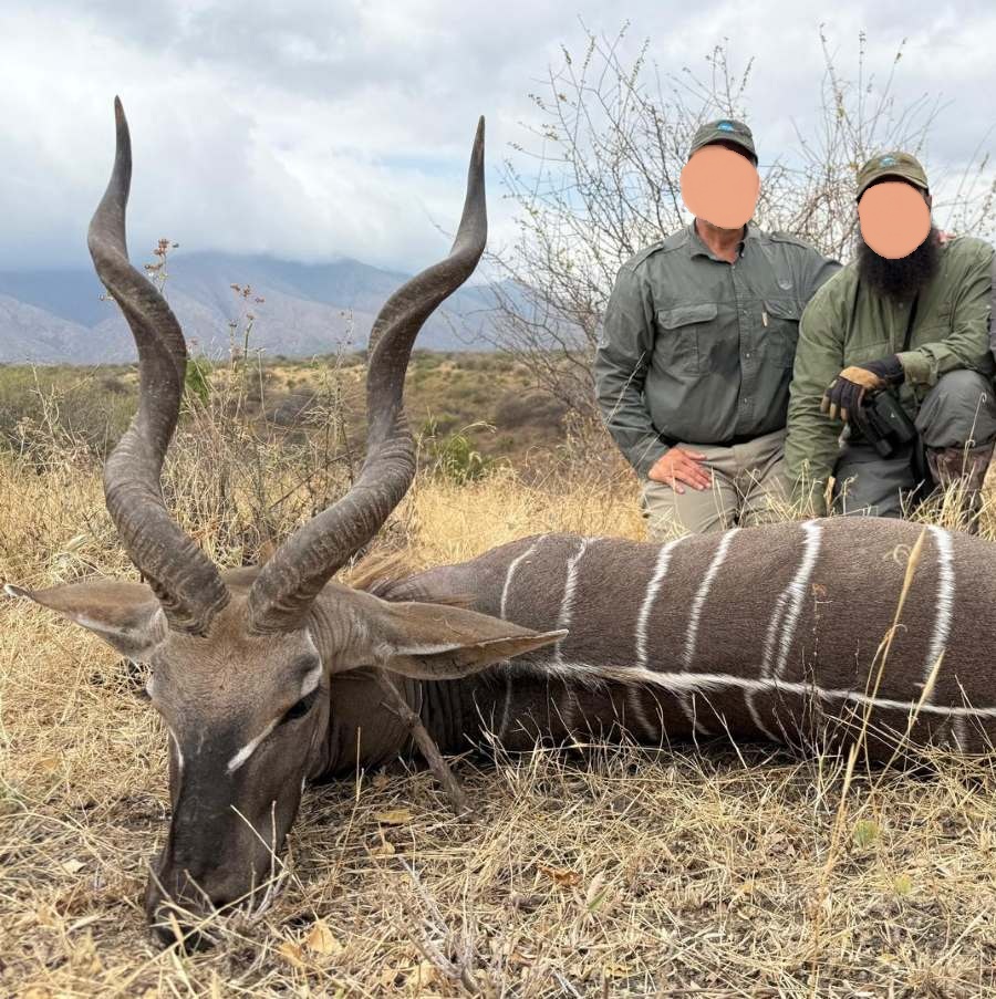 Leopard Hunting in Namibia & Brown Hyena Cancelation Hunt