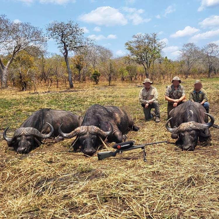 Specialist 10-Day Cape Buffalo Hunt in Tanzania