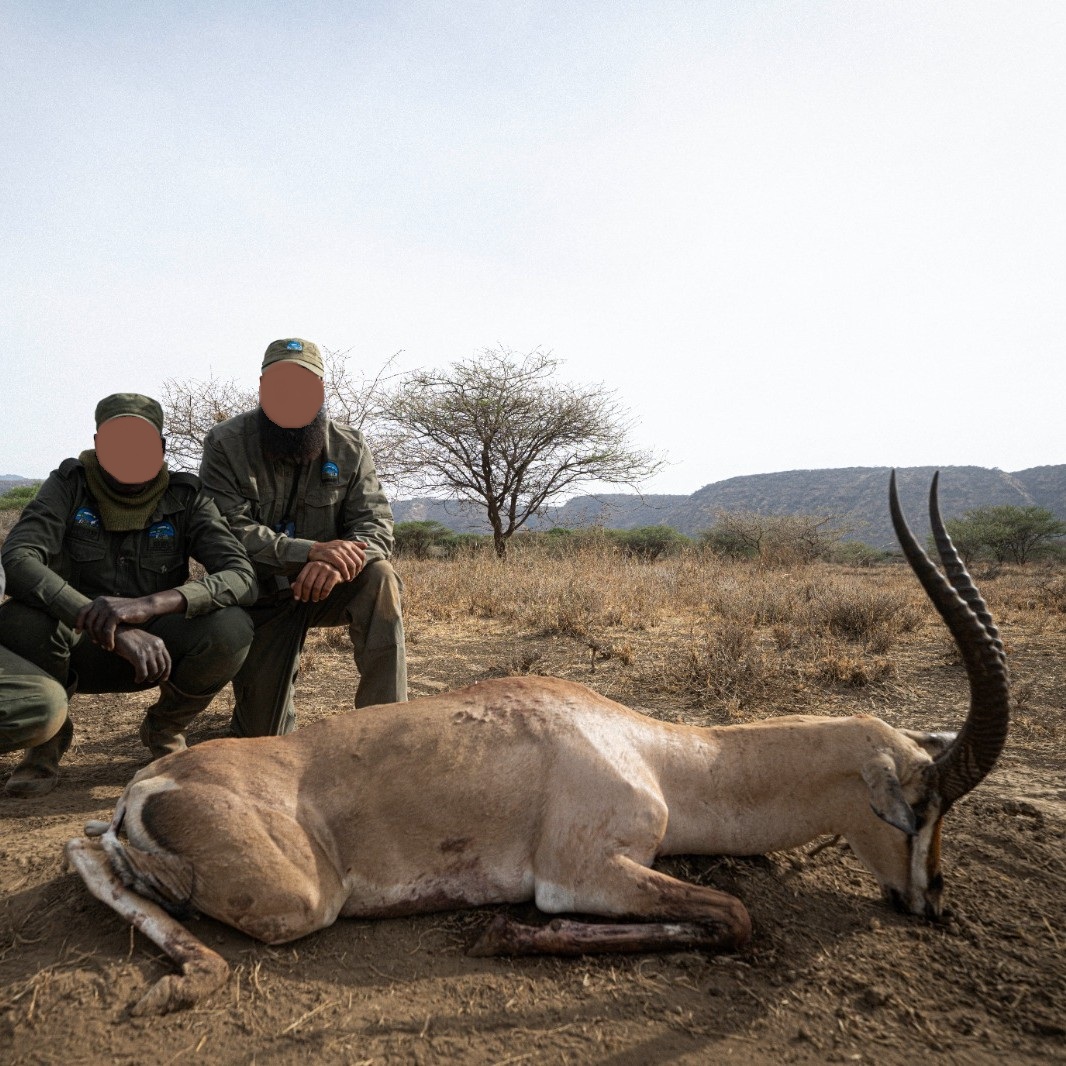 Leopard Hunting in Namibia & Brown Hyena Cancelation Hunt