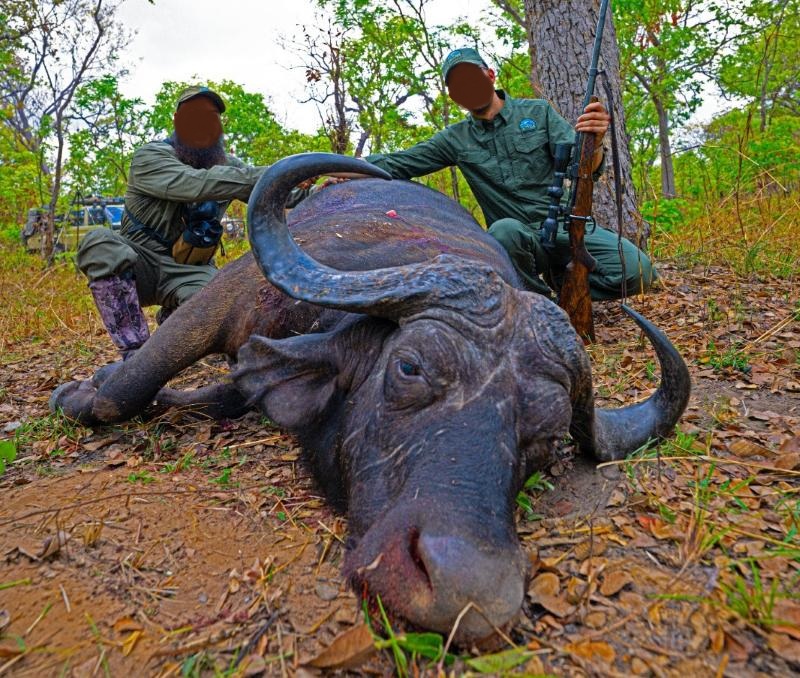 Leopard Hunting in Namibia & Brown Hyena Cancelation Hunt