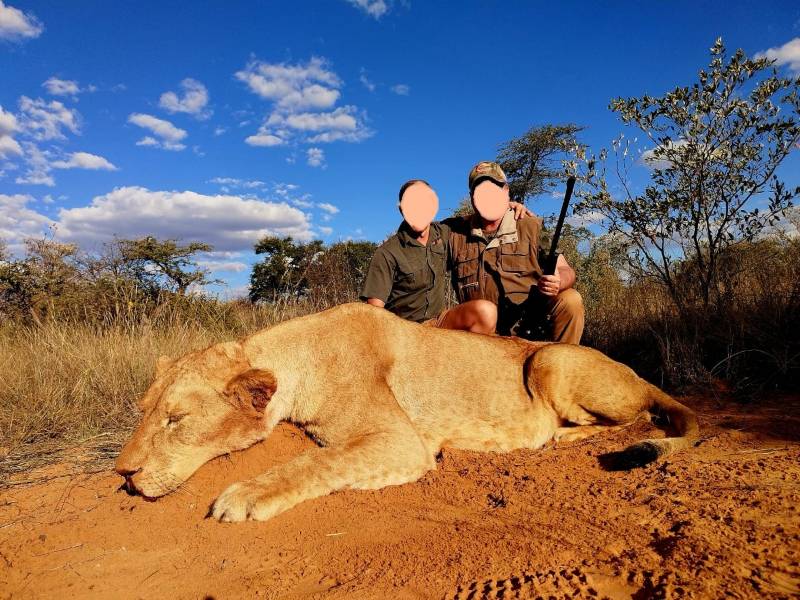 Lioness Hunting in South Africa: Fierce, Fast, & Ferocious