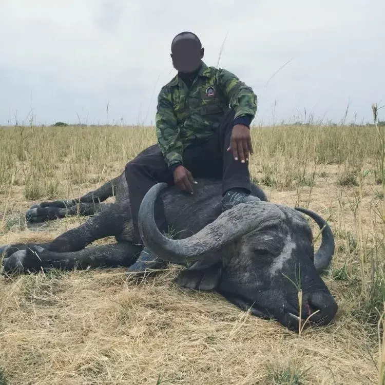 Leopard Hunting in Namibia & Brown Hyena Cancelation Hunt