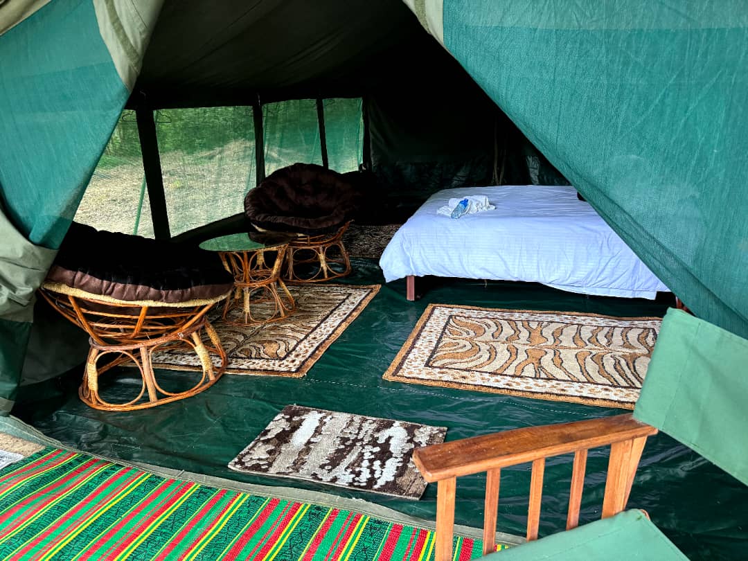 Two Cape Buffalo Trophies each when hunting in Tanzania 2 x 1