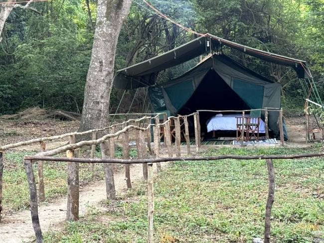 Triple Cape Buffalo Hunt in the Selous, Tanzania