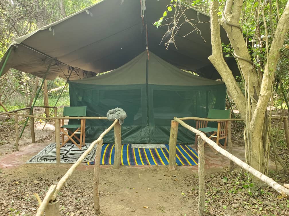 Leopard Hunting in Namibia & Brown Hyena Cancelation Hunt