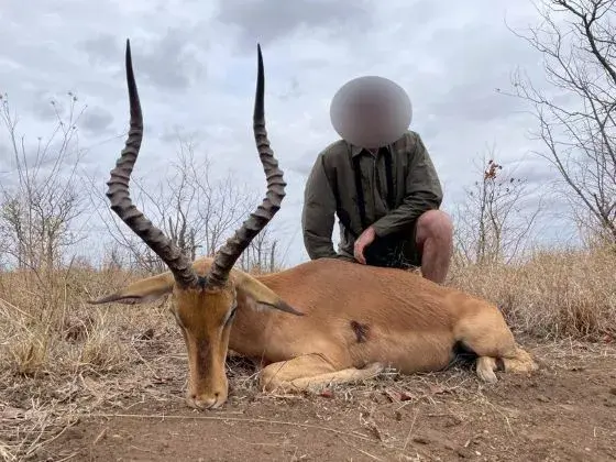 Trophy Hunting in Zimbabwe, Plains Game in Matetsi Unit 2