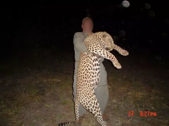 Leopard Hunting in Namibia & Brown Hyena Cancelation Hunt
